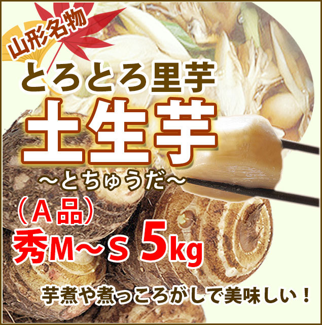 里芋　さといも　サトイモ　訳あり　贈答　とちゅうだ　5kg　芋煮・煮っころがしにおススめ　芋煮会　旬　品種　Ｍ〜Ｓサイズ　300円　農産物　送料無料　100円　500円　山形　土生田　5ｋｇ　ねっとり　土生芋　ポイント消化　A品　村山市