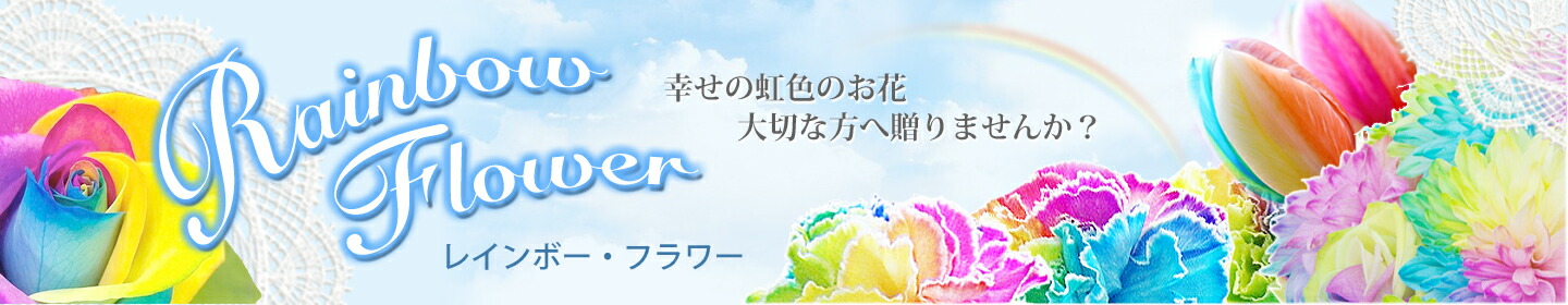 ☀【お正月飾り用仏手柑】 中上、小、極小 計10個お任せセット 杉っ子です ☀【お正月飾り用仏手柑】 中上、小、極小 計10個お任せセット 杉っ子
