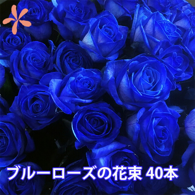 楽天市場 クリスマス 青いバラ ブルーローズ 40本とカスミ草 誕生日 プレゼント 青バラ 花束 青い薔薇 青薔薇 花 結婚記念日 送別会 花ギフト お供え 退職祝い 青 薔薇 バラ 苗 サントリー 生花 レインボーローズ 成人式 花ギフト 山形産果物野菜 花樹有