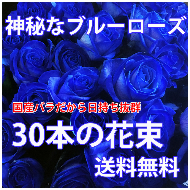 お中元 青いバラ ブルーローズ 30本とカスミ草 誕生日 プレゼント 青バラ 花束青い薔薇 青薔薇 花 結婚記念日 送別会 花ギフト お供え 退職祝い 青 薔薇 バラ 苗 サントリー 生花 レインボーローズ 成人式 花ギフト Prescriptionpillsonline Is