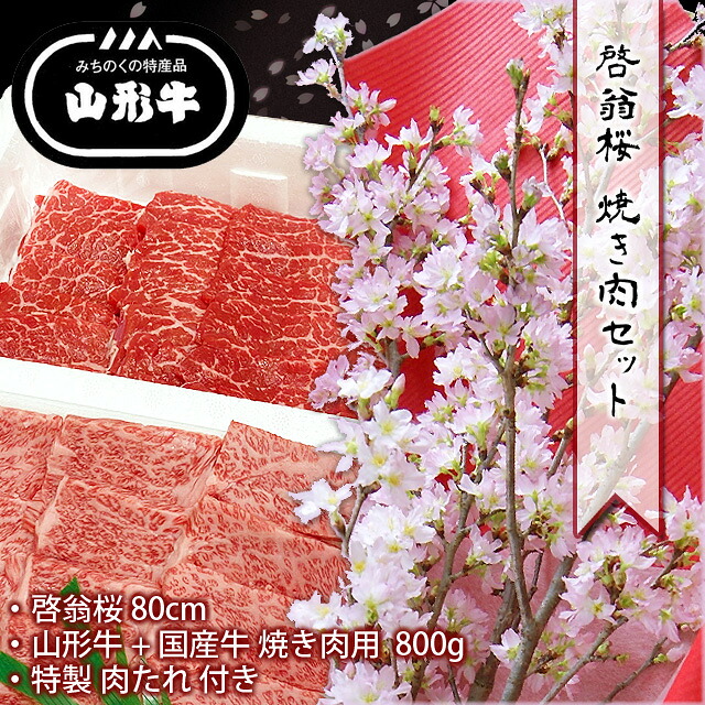 啓翁桜 山形 花束 ( 80cm ) と 焼肉 ( 800g ) セット 【 山形牛 国産牛 焼肉用 牛肉 桜 花 セット おせち ご年始 年賀 贈答 ギフト】12月 後半 ～ 3月中 限定 ギフト プレゼント バレンタイン ホワイトデー 送別 卒業 誕生日 結婚記念日 花ギフト ひな祭り 桃の節句｜花ギフト 山形産果物野菜 花樹有 16,560円