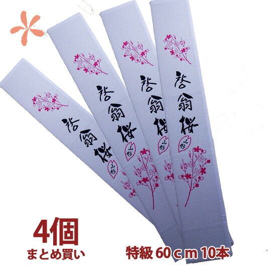 啓翁桜 山形 花束 60ｃｍ 10本 4個 まとめ買い 桜 枝 生花 さくら 花束 山形 プレゼント バレンタイン 愛妻の日 ホワイトデー ひな祭り 桃の節句 送別会 お花見 花見 年始 成人の日 お祝い送別 販売 切り花 花言葉 通販 花瓶 花ギフト｜花ギフト 山形産果物野菜 花樹有