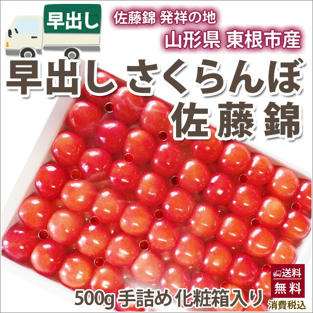 【楽天市場】さくらんぼ 佐藤錦 又は 紅秀峰 秀Ｌ ５００ｇ 手詰め