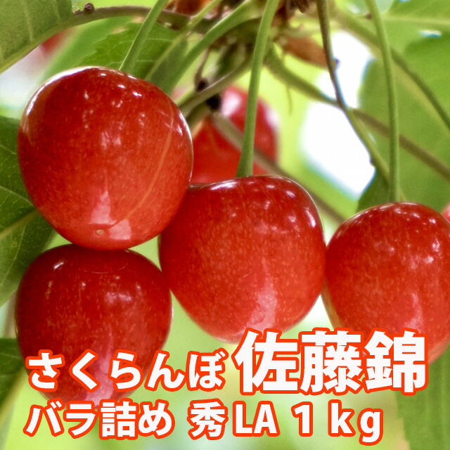 楽天市場】さくらんぼ 佐藤錦 山形 贈答 ギフト 送料無料 【 秀２Ｌ