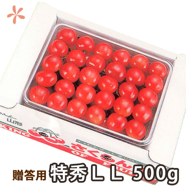 さくらんぼ 佐藤錦 山形 贈答 ギフト 送料無料 【 佐藤錦 又は 紅秀峰 特秀２Ｌ ５００ｇ 手詰め 並べ詰め まる勘山形 】 プレゼント チェリー お中元 サクランボ お中元 内祝い 特秀 秀品 1kg 2l 紅秀峰 月山錦 農産物 ポイント消化 100円 300円 500円