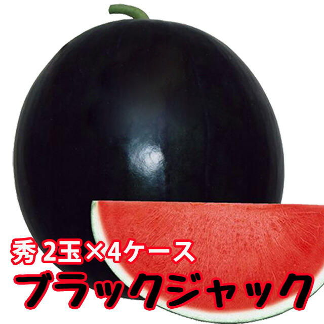 ブラックジャック スイカ 種無しすいか 送料無料 【 種なしスイカ 秀２L ２玉入 ４ケース 】 黒皮 尾花沢スイカ スイカ 西瓜 ギフト お盆 お中元 お供え 山形 訳あり 農産物 お中元