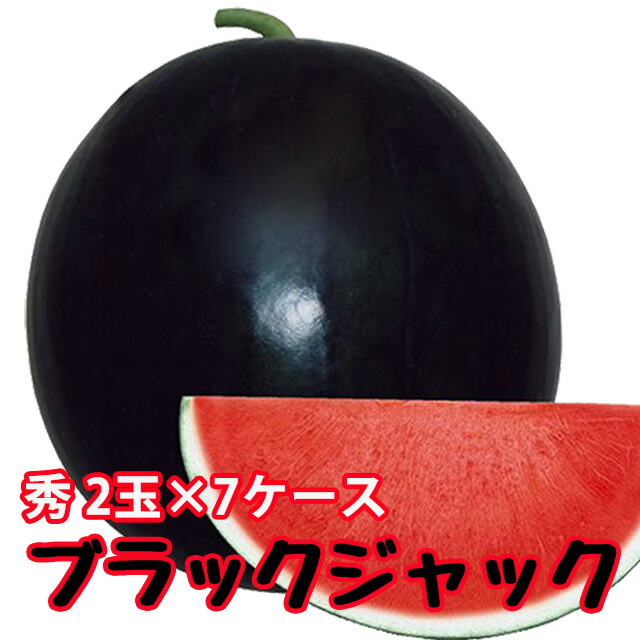 ブラックジャック スイカ 種無しすいか 送料無料 【 種なしスイカ 秀２L ２玉入 ７ケース 】 黒皮 尾花沢スイカ スイカ 西瓜 ギフト お盆 お中元 お供え 山形 訳あり 農産物 お中元