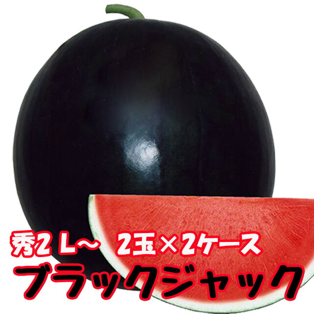 ブラックジャック スイカ 種無しスイカ 送料無料 【 種なしスイカ 秀2L 2玉入り7kg 2ケース 】黒皮 尾花沢スイカ スイカ 西瓜 訳あり お中元 お盆 お供え 山形 すいか 農産物 お中元 1 玉 の 収穫 時期 見分け 方 訳あり 金色 羅王画像