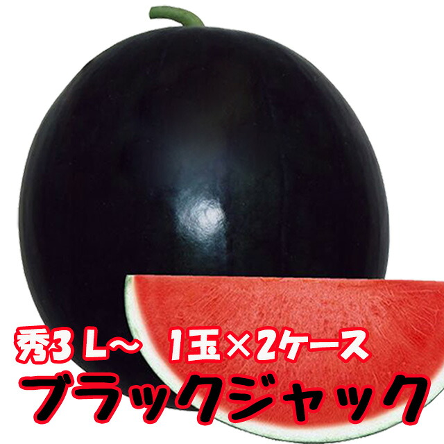 ブラックジャック スイカ 種無しすいか 送料無料 【 種なしスイカ 秀3L 1玉入 2ケース 】 黒皮 尾花沢スイカ スイカ 西瓜 ギフト お盆 お中元 お供え 山形 訳あり 農産物 お中元 １ 玉 の 収穫 時期 見分け 方 訳あり 金色 羅王