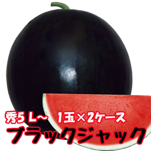 ブラックジャック スイカ 種無しスイカ 送料無料 【 種なしスイカ 秀5L 1玉入り10kg 2ケース 】黒皮 尾花沢スイカ スイカ 西瓜 訳あり お中元 お盆 お供え 山形 すいか 農産物 お中元 1 玉 の 収穫 時期 見分け 方 訳あり 金色 羅王画像