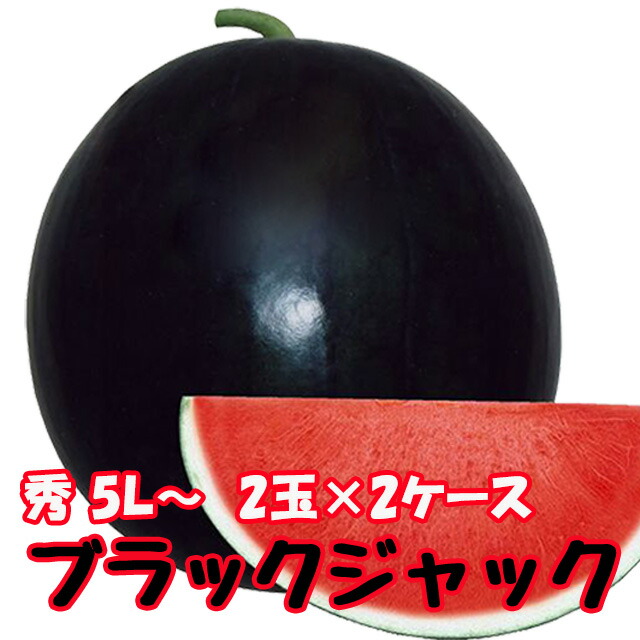 ブラックジャック スイカ 種無しスイカ 送料無料 【 種なしスイカ 秀5L 2玉入り 約10kg 2ケース 】黒皮 尾花沢スイカ スイカ 西瓜 訳あり お盆 お中元 お供え 山形 すいか 農産物 お中元 1 玉 の 収穫 時期 見分け 方 訳あり 金色 羅王画像