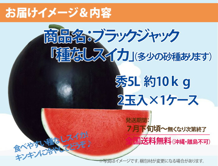 ブラックジャック スイカ 種無しすいか 送料無料 【 種なしスイカ 秀5L 2玉入 1ケース 】 黒皮 尾花沢スイカ スイカ 西瓜 ギフト お盆 お中元 お供え 山形 訳あり 農産物 お中元 1 玉 の 収穫 時期 見分け 方 訳あり 金色 羅王画像