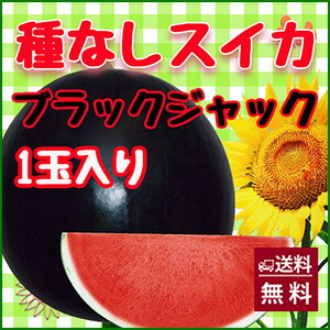 ブラックジャック、種無しスイカ