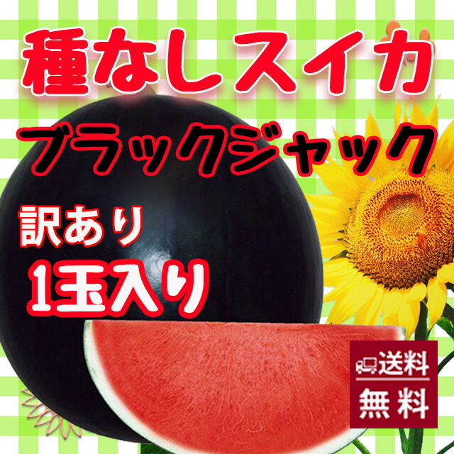 ブラックジャック スイカ 種無しスイカ 送料無料 【 種なしスイカ 訳あり ご家庭用 1玉入り 】黒皮 尾花沢スイカ スイカ 西瓜 訳あり お中元 お盆 お供え 山形 すいか 農産物 お中元画像