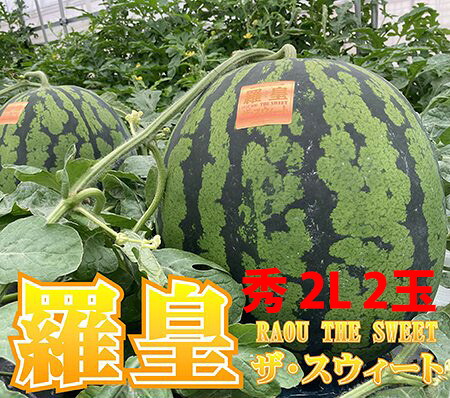 スイカ 山形 尾花沢 大玉 送料無料 【 羅王 羅王ザスイート 祭りばやし 秀 2L （約7ｋｇ以上）以上 2玉 贈答用 】らおう ラオウ 尾花沢スイカ 山形産 お中元 お盆 お供え 甘い 糖度 西瓜 贈答用 訳あり すいか 農産物 お中元 １ 玉 の 収穫 時期 見分け 方 訳あり