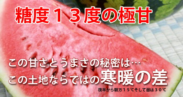 ブラックジャックスイカ種無しスイカ送料無料黒皮尾花沢スイカスイカ西瓜訳ありでんすけ山形すいか農産物ポイント消化100円300円500円お中元