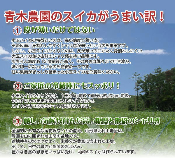 ブラックジャックスイカ種無しスイカ送料無料黒皮尾花沢スイカスイカ西瓜訳ありでんすけ山形すいか農産物ポイント消化100円300円500円お中元