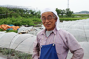 ブラックジャックスイカ種無しスイカ送料無料黒皮尾花沢スイカスイカ西瓜訳ありでんすけ山形すいか農産物ポイント消化100円300円500円お中元