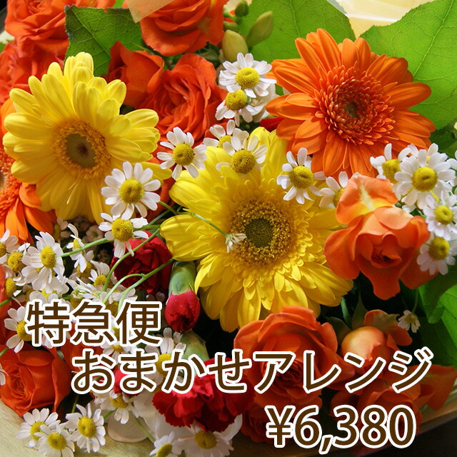 敬老の日 お彼岸 ギフト プレゼント フラワー特急便 当日届く Pm1時までの受付 6380円 送別 卒業 お供え アレンジメント フラワー あじさい ひまわり バラ 仏花 おしゃれ 小さい花 仏壇用 開店祝い 花ギフト 誕生日 結婚記念日 Kanal9tv Com