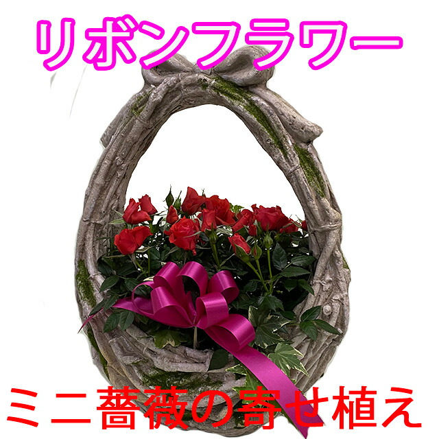 ミニバラ 寄せ植えバラ アレンジフラワー ギフト フラワーギフト プレゼント 入学 卒業 寄せ植えアレンジ鉢花 生花 祝寄せ篭 結婚祝い 花 花ギフト  誕生日 贈り物 鉢植え 店内全品対象 誕生日