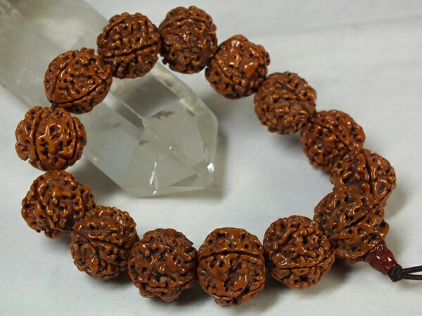 【見本品】ルドラクシャ☆神聖幾何学フラーレン☆菩提樹の実☆シブァの涙　展示品 ルドラクシャ神聖幾何学フラーレン