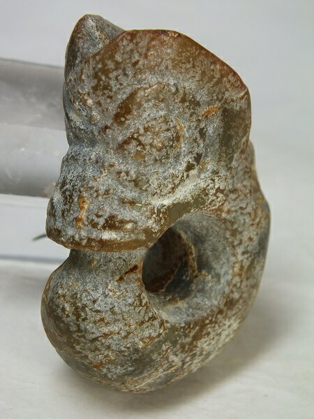 楽天市場】□龍香堂□☆中国紅山文化（こうざんぶんか）「玉豬龍」「猪