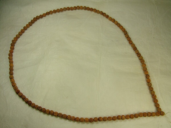 ■龍香堂■☆珍品！金剛菩提樹の実（ルドラクシャ）９ｍｍ玉