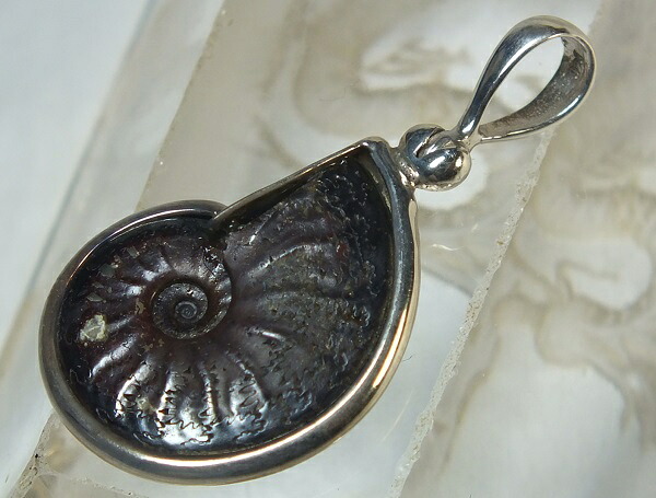 ■龍香堂■☆アンモナイト化石　銀枠ペンダントトップ２０ｍｍ（ｖ1） 8,360円