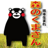 【送料無料】令和７年産 九州熊本産 くまさんの輝き 1等 玄米5ｋｇ 【smtb-td】