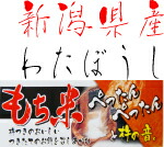 令和6年産 新潟県 わたぼうし もち米 2等 玄米 ５ｋｇ モチ米界のお姫様