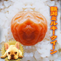 特注栽培 新潟県産 ミルキークイーン 残留農薬分析済み 令和6年産 玄米５ｋｇ【nk_fs_0629】Wソート玄米