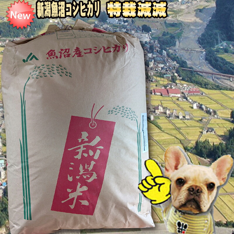 令和6年産 新潟魚沼コシヒカリ 津南町産 特栽減減 玄米 農薬少なめ！精米無料！｜弁次郎商店