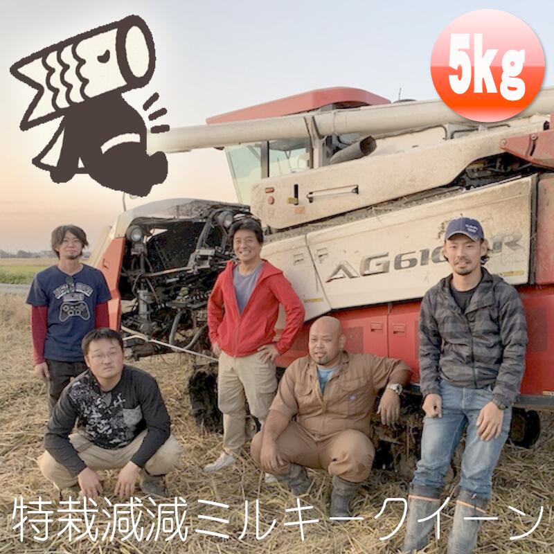 有機肥料で育った(^^)v 加須産 ミルキークイーン Wソート 玄米5kg 令和6年産