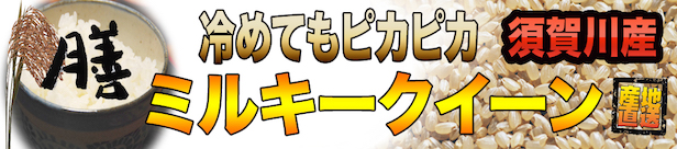 楽天市場】山形県産 残留農薬分ゼロ コシヒカリ 1等 令和３年産 玄米１０ｋｇ 【精米無料】【nk_fs_0629】 : 弁次郎商店