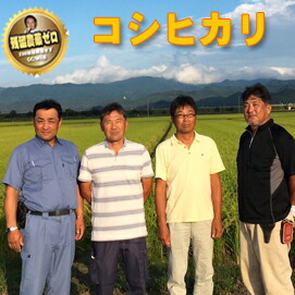 残留農薬ゼロ 山形県高畠町 コシヒカリ 1等 令和6年産 玄米5ｋｇ 【精米無料】【nk_fs_0629】