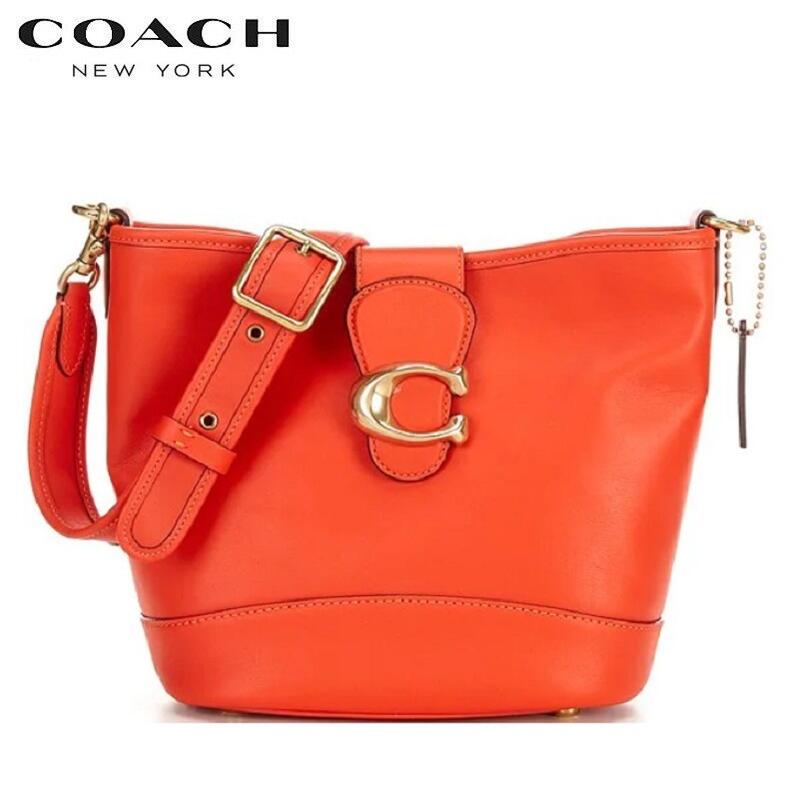COACH ショルダーバッグ ダンデライオン タウン バケットバッグ レザー コーチ/ハンドバッグ/スモール タウン バケット バッグ ウィズ
