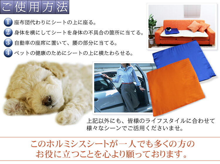 ⭐︎新品未使用⭐︎ワールドレップサービスのホルミシス高濃度ラジウムシート ホルミシス高濃度ラジウムシート ワールドレップサービス