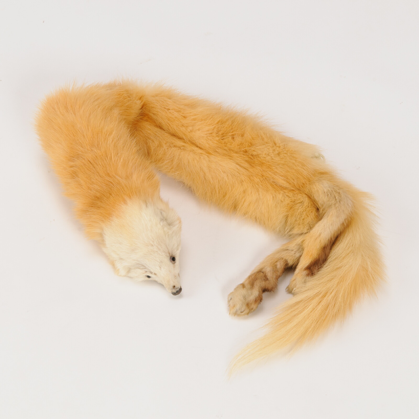 楽天市場】【新品】超激安/ボリューム満点/ロシアンセーブル2匹使い