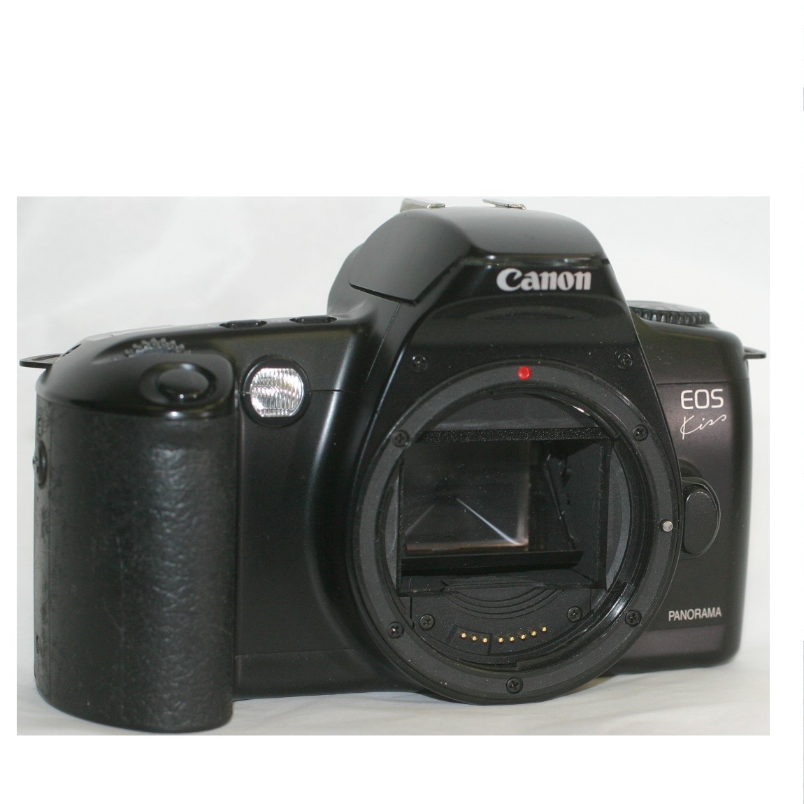 流行に 完動美品キャノンの35mmフィルム使用1眼レフAFカメラ