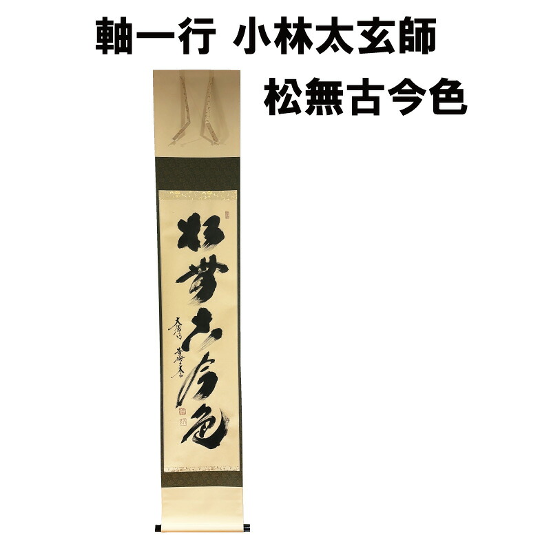 茶道具 軸 一行 松無古今色 小林太玄 抹茶 表千家 裏千家|茶道具春日園店