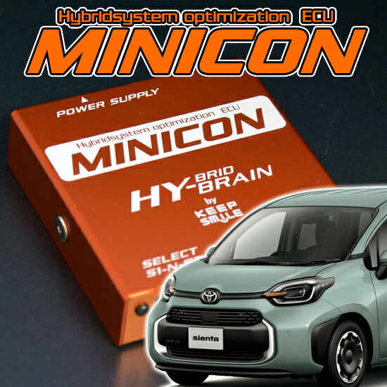 専用 40個 小さな 楽天市場】キープスマイルカンパニー製サブコンピュータ MINICON