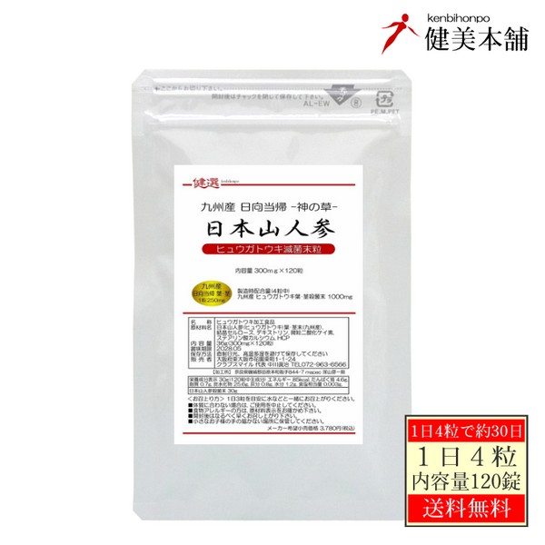 【百貨店SALE 1個に付き200円OFF】新発売 九州産 日本山人参粒 -日本日向当帰粒- 300mg×120粒  ヒュウガトウキ粒 1日に日本山人参 1000瓱摂取することで30日好いかげんに 電子メール便貨物輸送無料