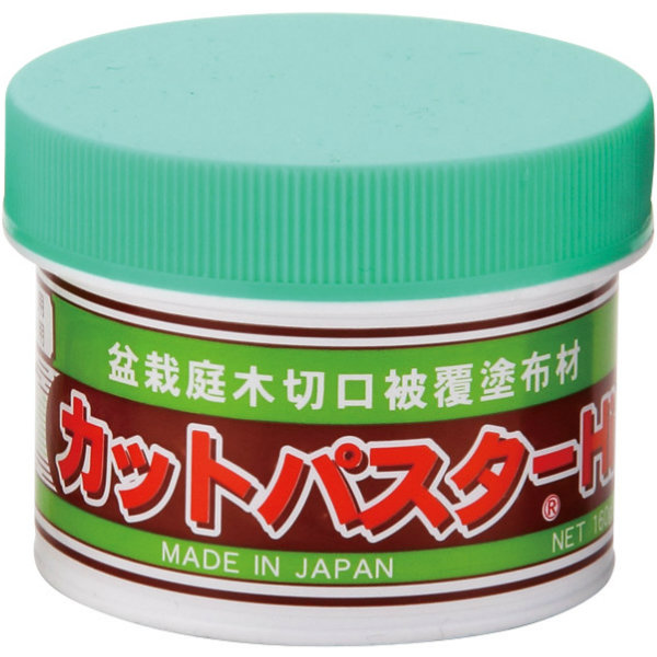 楽天市場】【盆栽】カットパスターペースト30g /盆栽 盆栽道具 剪定 癒合剤 : 喜久和