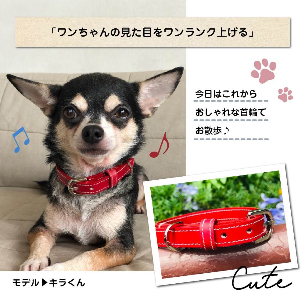 楽天市場 犬 首輪 おしゃれ 日本製 レザー 本革 チョーカー かわいい かっこいい おしゃれ 犬の首輪 小型犬 中型犬 ペット用品 犬用品 シンプル 黒 茶 赤 ブラック ブラウン レッド ワイン ハンドメイド オリジナル Jpqn キングモバイル