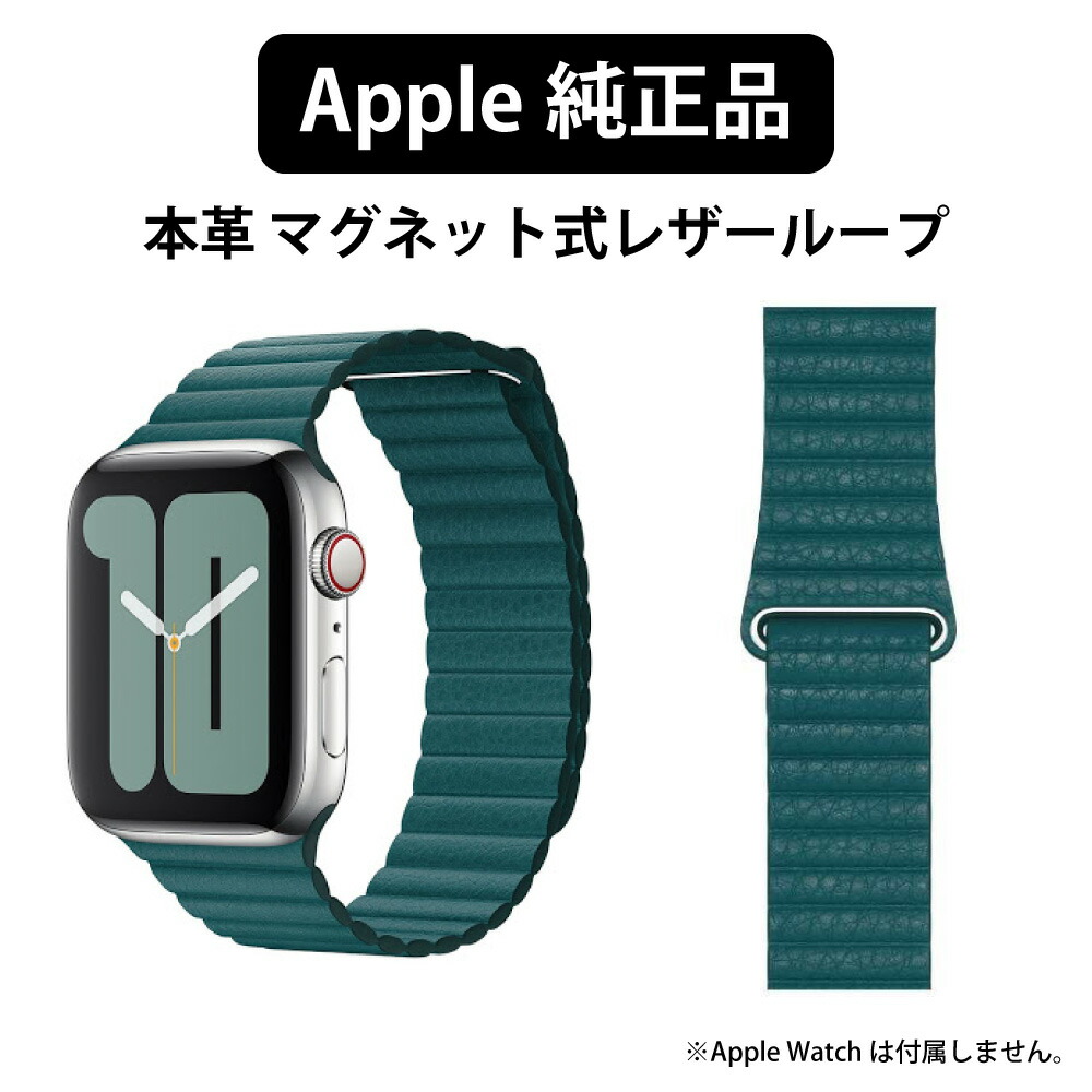 クラシック すんさん用Apple Watch純正モダンバックル✳︎ファイン 