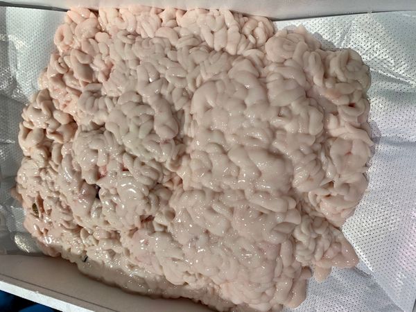 楽天市場】白造り松前漬500ｇ×2パック〔Ｋ〕北港直販☆いか・数の子・かずのこ・カズノコ・真昆布☆ : 北港直販