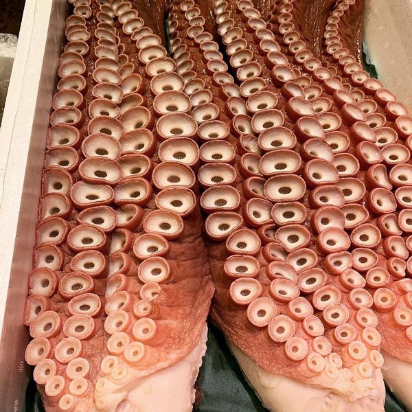 北海道産ボイル水たこ（蛸）足２本（3ｋｇ前後）〔B〕北港直販☆タコ・刺身・しゃぶしゃぶ
