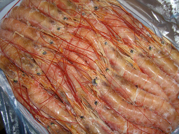 〔有頭〕アルゼンチン赤エビ2ｋｇ（70尾前後）〔Ｅ〕北港直販☆えび・エビ・海老