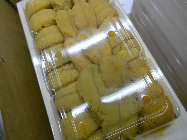 〔高級品〕北海道産キタムラサキ（折ウニ）240ｇ（120ｇ×2箱）〔Ｂ〕北港直販☆うに・ウニ・雲丹〔着日指定に対応できない場合有〕〔代引き不可〕
