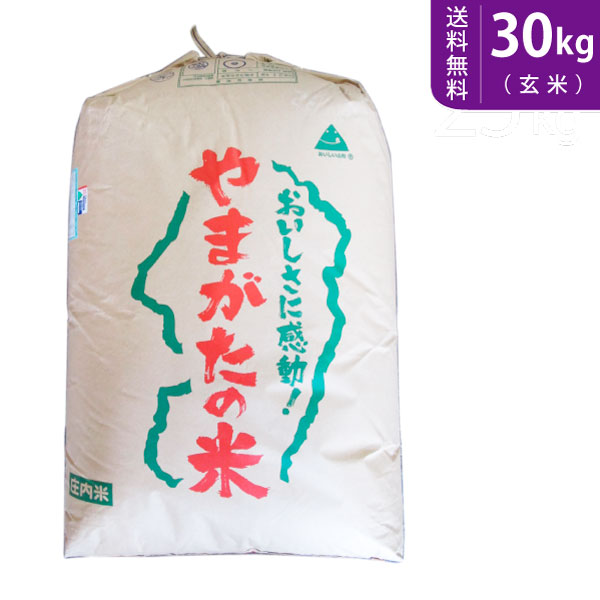 中米】山形県庄内産 つや姫中粒米 玄米25kg+spbgp44.ru